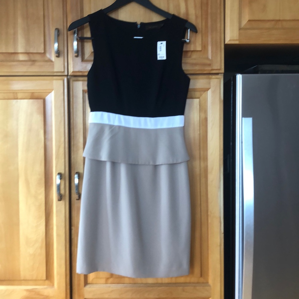 Limited Size 2 Dress